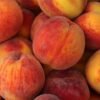 images (13) Best Peaches