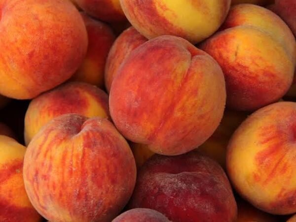 images (13) Best Peaches