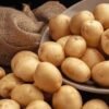 Potatoes (kg)