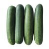 Cucumber (500g)